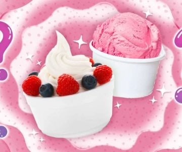 Is Ice Cream Better Than Frozen Yogurt? Let's Settle the Debate