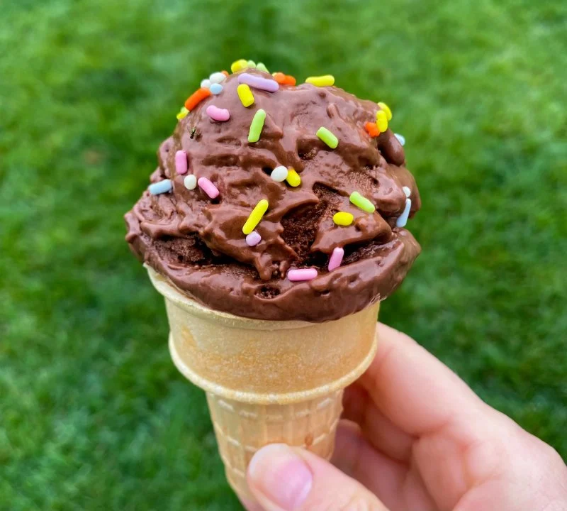 The Rise of Plant-Based Ice Cream: Why It's So Popular | Best Plant-Based Desserts