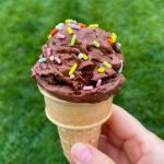 The Rise of Plant-Based Ice Cream: Why It's So Popular | Best Plant-Based Desserts