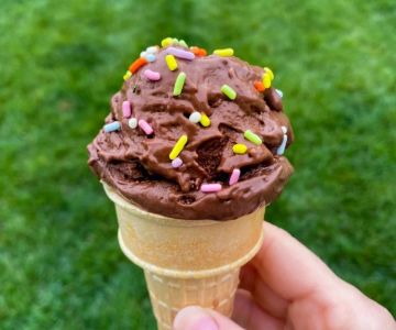 The Rise of Plant-Based Ice Cream: Why It's So Popular | Best Plant-Based Desserts