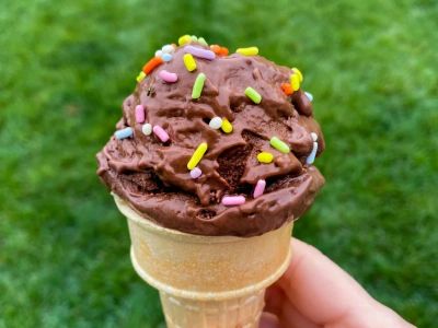 The Rise of Plant-Based Ice Cream: Why It's So Popular | Best Plant-Based Desserts