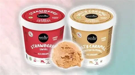 The Rise of Plant-Based Ice Cream: Why It's So Popular in America