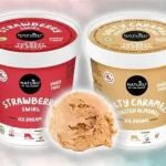 The Rise of Plant-Based Ice Cream: Why It's So Popular in America