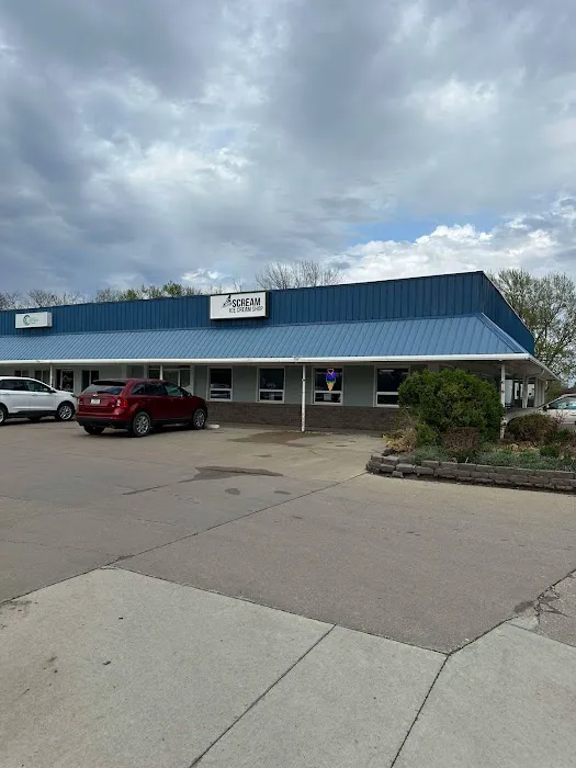 SCREAM Ice Cream Shop Picture 7