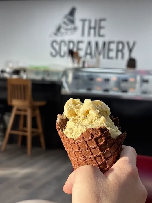 SCREAM Ice Cream Shop Picture 2