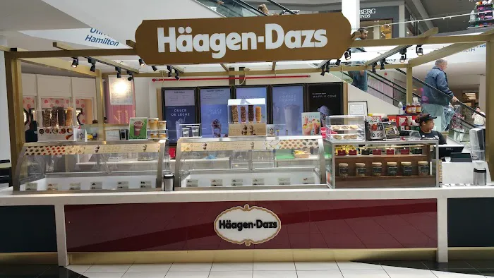 Häagen-Dazs Ice Cream Picture 2