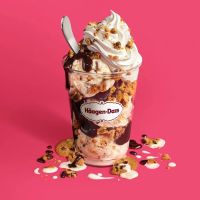 Häagen-Dazs Ice Cream ico