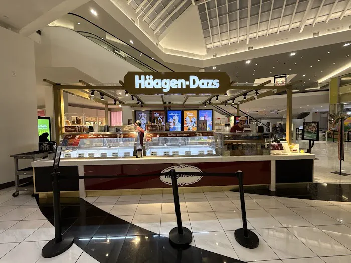 Häagen-Dazs Ice Cream Picture 6