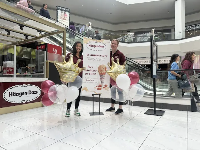 Häagen-Dazs Ice Cream Picture 8