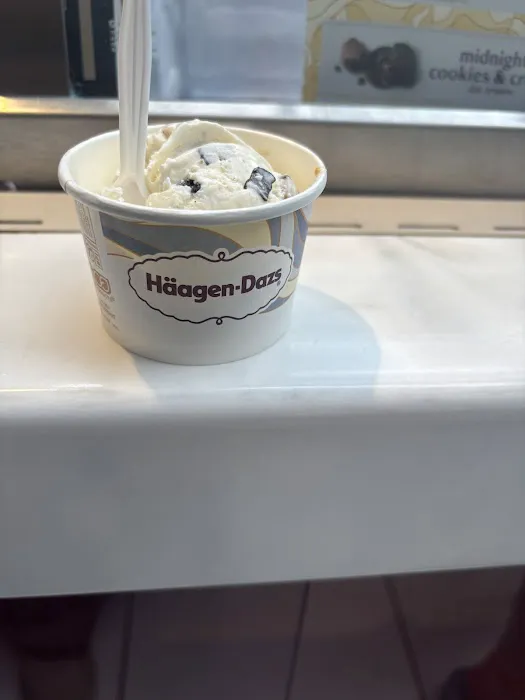 Häagen-Dazs Ice Cream Picture 10
