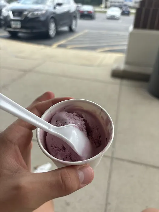 Marciano Ice Cream Picture 10