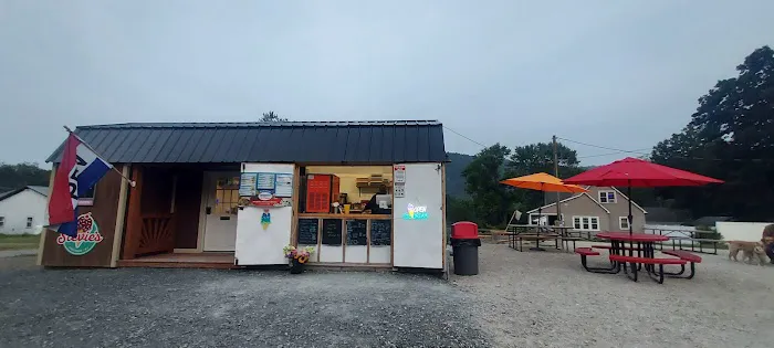 Stevie's Ice cream Picture 2