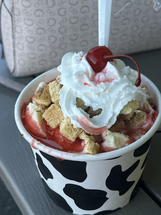 Moo Moo’s Ice Cream Picture 5