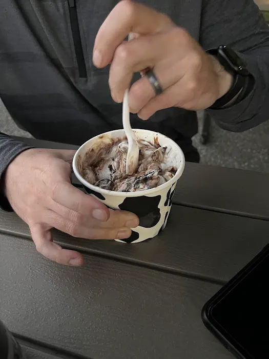 Moo Moo’s Ice Cream Picture 10