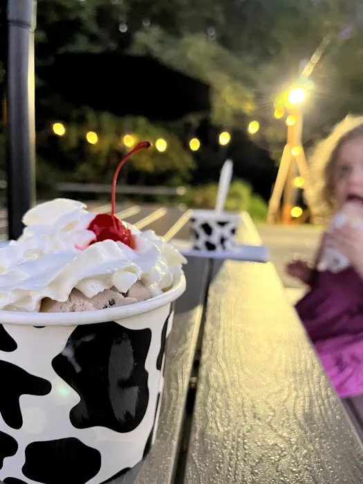 Moo Moo’s Ice Cream Picture 8