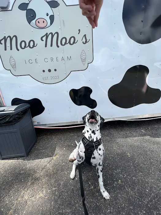 Moo Moo’s Ice Cream Picture 9