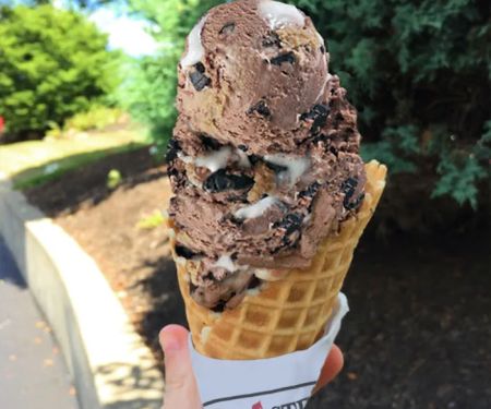 Bruster's Real Ice Cream