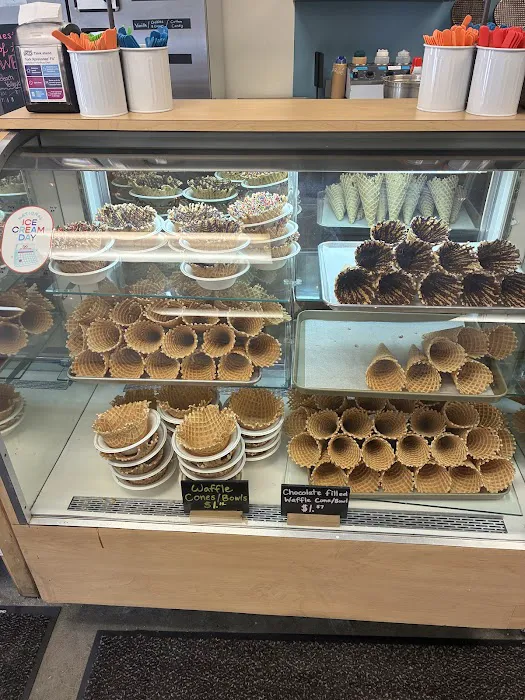 Outside the Cone Picture 5