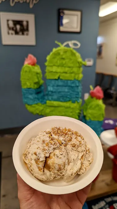 Outside the Cone Picture 9