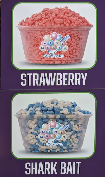 Boonies Dessert Trailer Picture 4