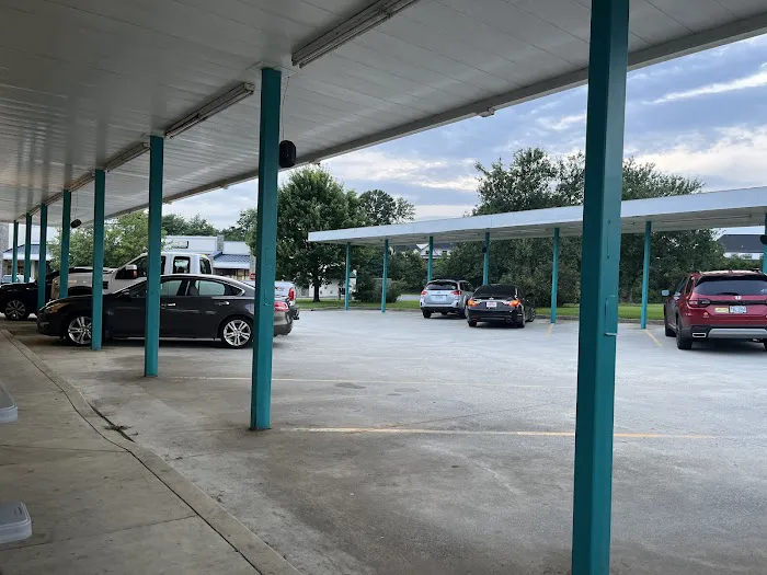 Monkee Joe's Picture 3