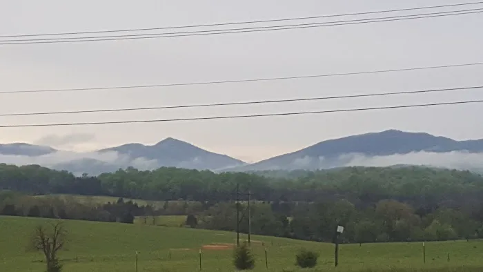 Monkee Joe's Picture 8