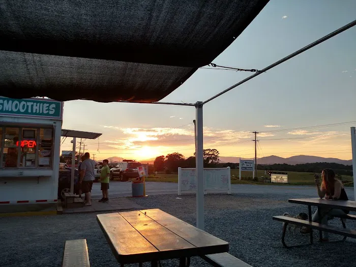 Monkee Joe's Picture 6