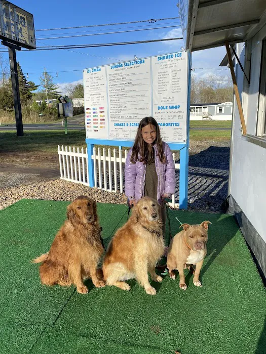 I Scream You Scream Ice Cream and Coffee Too Picture 9