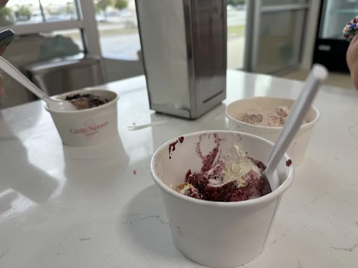 Little Spoon Creamery Picture 4
