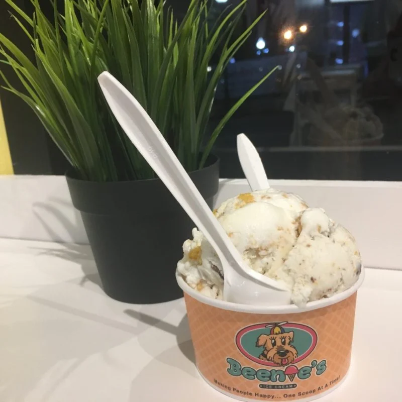 Best Ice Cream Shops in Trenton for New Jersey Diners: Top Flavors & Spots