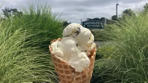Best Ice Cream Shops in Providence for Rhode Island Dairy Farms