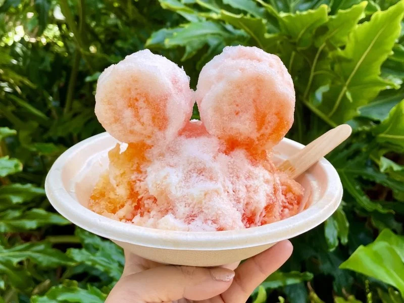 Best Ice Cream Shops in Oahu for Hawaii Shave Ice Legacy