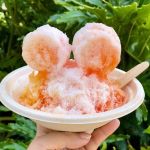 Best Ice Cream Shops in Oahu for Hawaii Shave Ice Legacy