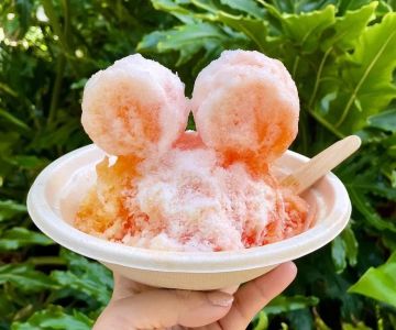 Best Ice Cream Shops in Oahu for Hawaii Shave Ice Legacy