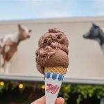 Best Ice Cream Shops in Galveston for Seafood Themes | Must-Try Flavors