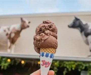 Best Ice Cream Shops in Galveston for Seafood Themes | Must-Try Flavors