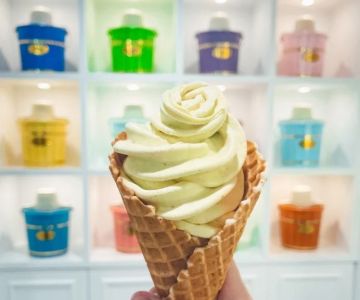 Best Ice Cream Shops in Tallahassee for Florida Key Lime Pie Scoops