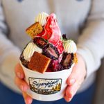 Best Ice Cream Shops in Portland for Organic and Sustainable Choices