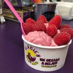 Best Ice Cream Shops in Pierre for South Dakota Buffalo Berry Scoops