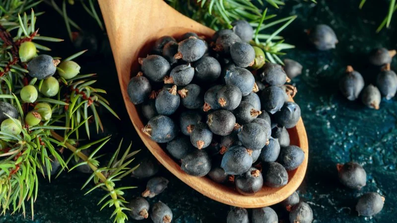 How to Make Ice Cream with Juniper Berries for a Gin-Like Flavor