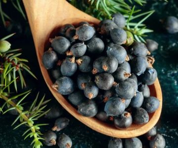 How to Make Ice Cream with Juniper Berries for a Gin-Like Flavor