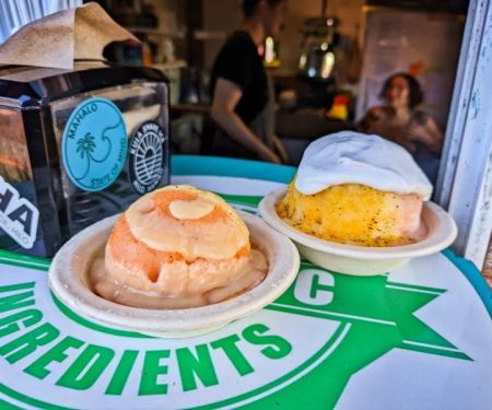 Best Ice Cream Shops in Hilo for Hawaii Tropical Fruit Galore