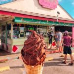 Best Ice Cream Shops in Nashville for Hot Chicken Spiked Ice Cream