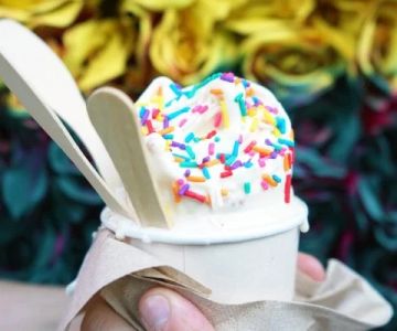 Best Ice Cream Shops in Lake Placid for New York Olympic Themes