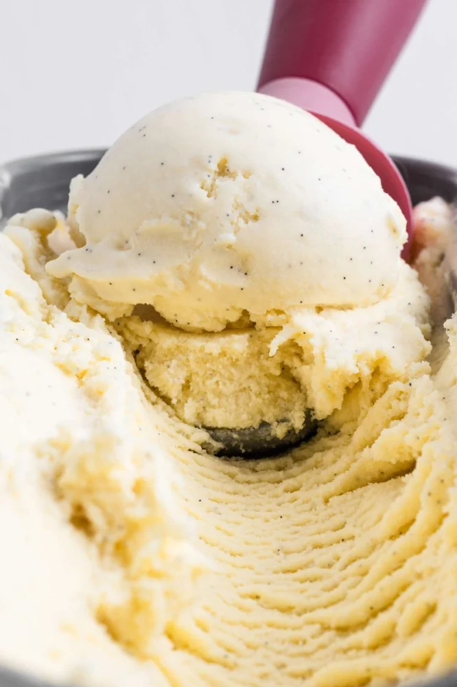 What Is French Vanilla Ice Cream and What Makes It Different