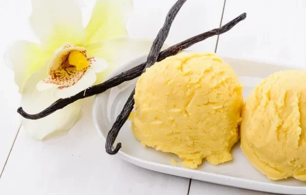 How to Make Ice Cream with Vanilla Orchid for a Rare Gourmet Experience