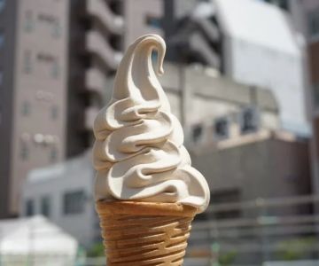 Ice Cream and Science: The Role of Air in Overrun and Texture | Ice Cream Shop