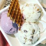 Best Ice Cream Shops in Washington DC for Tourists and Locals
