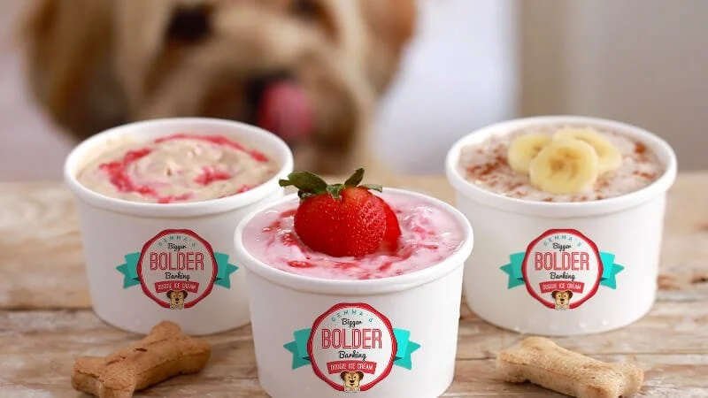 Ice Cream for Dogs: Safe Recipes and Store-Bought Brands