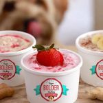 Ice Cream for Dogs: Safe Recipes and Store-Bought Brands
